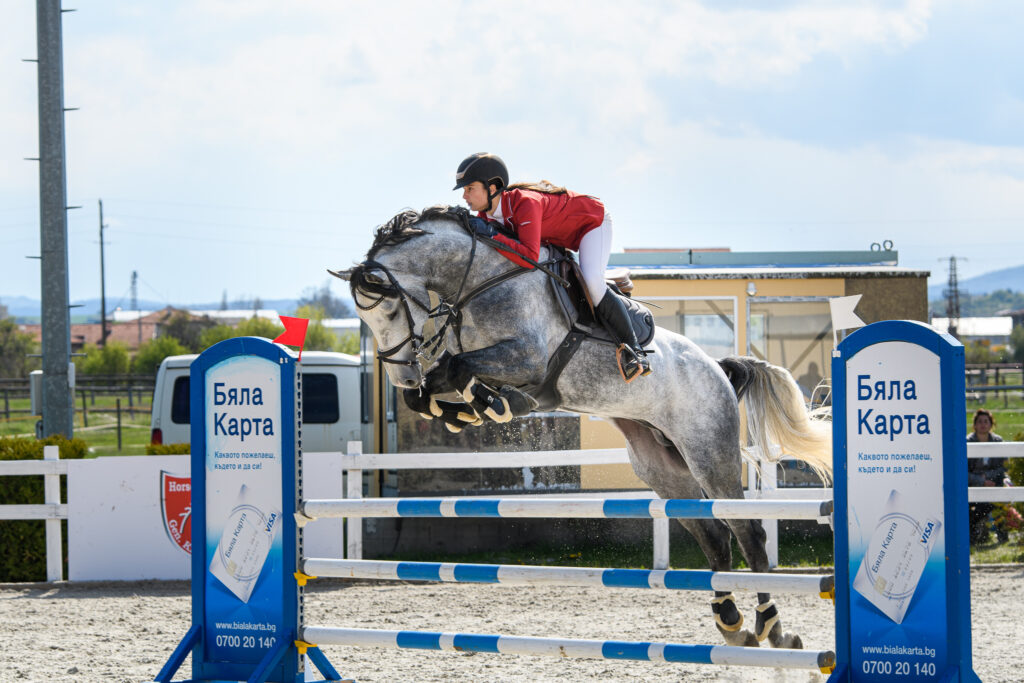 horse jumping over obstacle